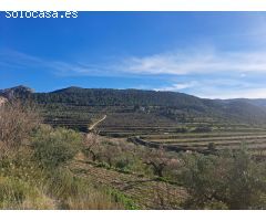 Finca rustica en Venta en Penáguila, Alicante