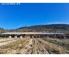 Finca rustica en Venta en Penáguila, Alicante