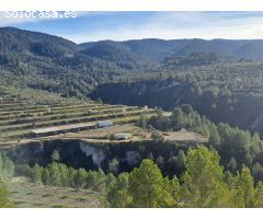 Finca rustica en Venta en Penáguila, Alicante