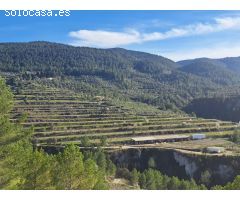 Finca rustica en Venta en Penáguila, Alicante