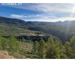 Finca rustica en Venta en Penáguila, Alicante