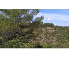 Finca en Venta en Génave, Jaén