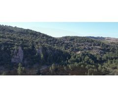 Finca en Venta en Santiago-Pontones, Jaén
