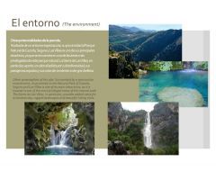 Parcela para ECOLODGE con proyecto