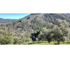 Terreno en Hornos de Segura