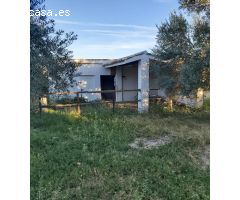 Finca REBAJADA!!!