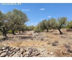 Finca rustica en Venta en Traiguera, Castellón