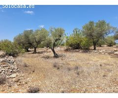 Finca rustica en Venta en Traiguera, Castellón