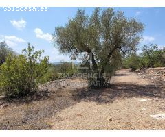 Finca rustica en Venta en Traiguera, Castellón