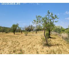 Finca rustica en Venta en Traiguera, Castellón