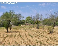 Finca rustica en Venta en Traiguera, Castellón