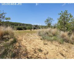 Finca rustica en Venta en Traiguera, Castellón