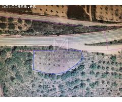Finca rustica en Venta en Traiguera, Castellón
