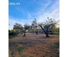 Finca rustica en Venta en Ulldecona, Tarragona