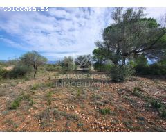 Finca rustica en Venta en Traiguera, Castellón