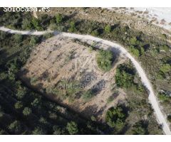 Finca rustica en Venta en Cervera del Maestre, Castellón