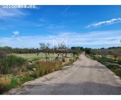 Finca rustica en Venta en Traiguera, Castellón