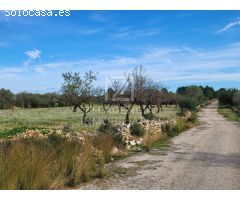Finca rustica en Venta en Traiguera, Castellón