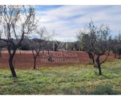 Finca rustica en Venta en Traiguera, Castellón