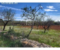 Finca rustica en Venta en Traiguera, Castellón