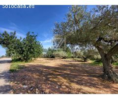 Finca rustica en Venta en Traiguera, Castellón