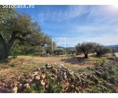Finca rustica en Venta en Traiguera, Castellón