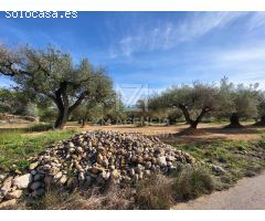 Finca rustica en Venta en Traiguera, Castellón