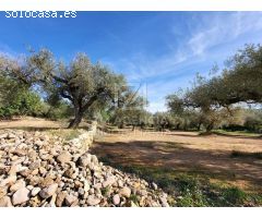 Finca rustica en Venta en Traiguera, Castellón