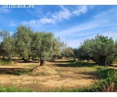 Finca rustica en Venta en Traiguera, Castellón