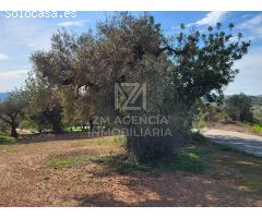 Finca rustica en Venta en Traiguera, Castellón