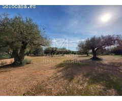 Finca rustica en Venta en Traiguera, Castellón