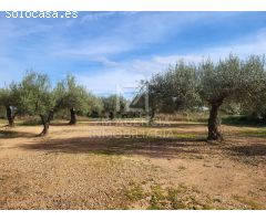 Finca rustica en Venta en Traiguera, Castellón