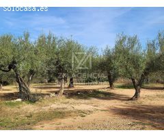 Finca rustica en Venta en Traiguera, Castellón