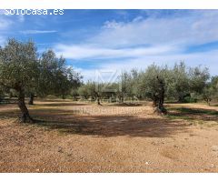 Finca rustica en Venta en Traiguera, Castellón