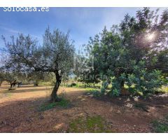 Finca rustica en Venta en Traiguera, Castellón