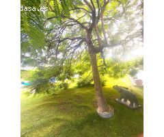 Chalet en Venta en Sant Vicenç de Montalt, Barcelona