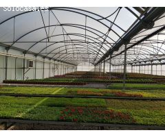Parcela en Venta en Sant Cebrià de Vallalta, Barcelona