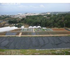 Parcela en Venta en Sant Cebrià de Vallalta, Barcelona
