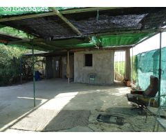 Parcela rústica de 3650 m2 vallada en el Campo de Elche / La Hoya