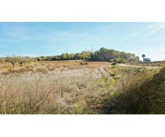 Terreno en Sant Joan, Mallorca