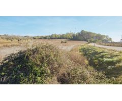 Terreno en Sant Joan, Mallorca