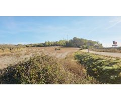 Terreno en Sant Joan, Mallorca