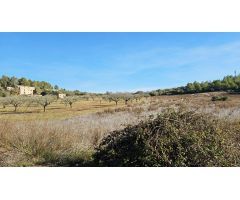 Terreno en Sant Joan, Mallorca