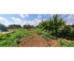 Finca rústica con safareig en Búger, Mallorca