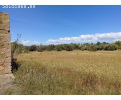 ¡Atención! Posibilidad de tener dos casas independientes sumando casi 1.000 m²
