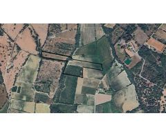 Terreno urbanizable en Muro con agua de pozo, cerca de playa de Muro