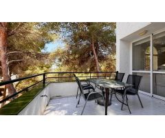 Adosado en Sol de Mallorca con magnífica piscina y solárium