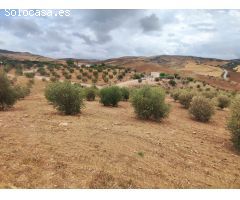 Finca rustica en Venta en Almogía, Málaga