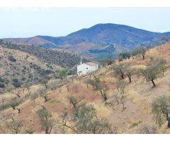 Casa de campo en Venta en Almogía, Málaga