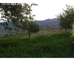 Finca rustica en Venta en Carratraca, Málaga